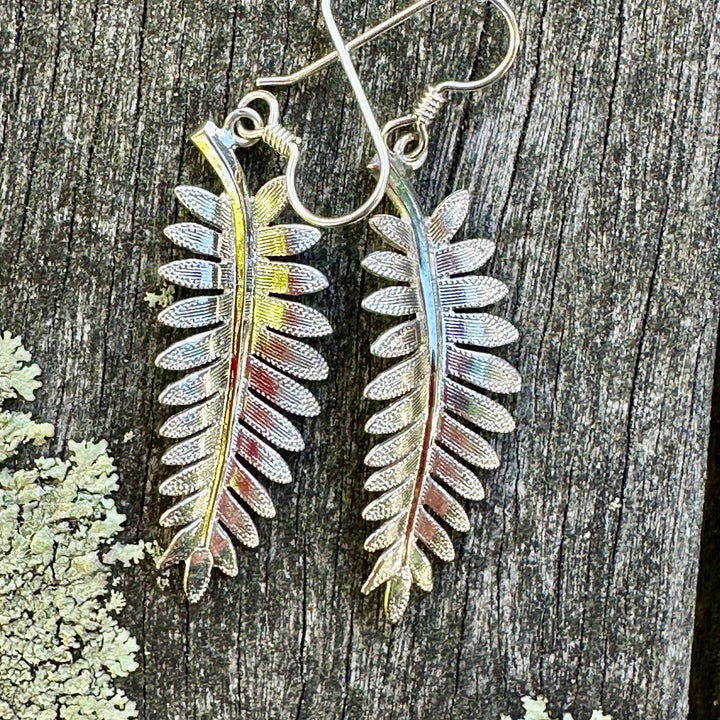 Silver fern earrings