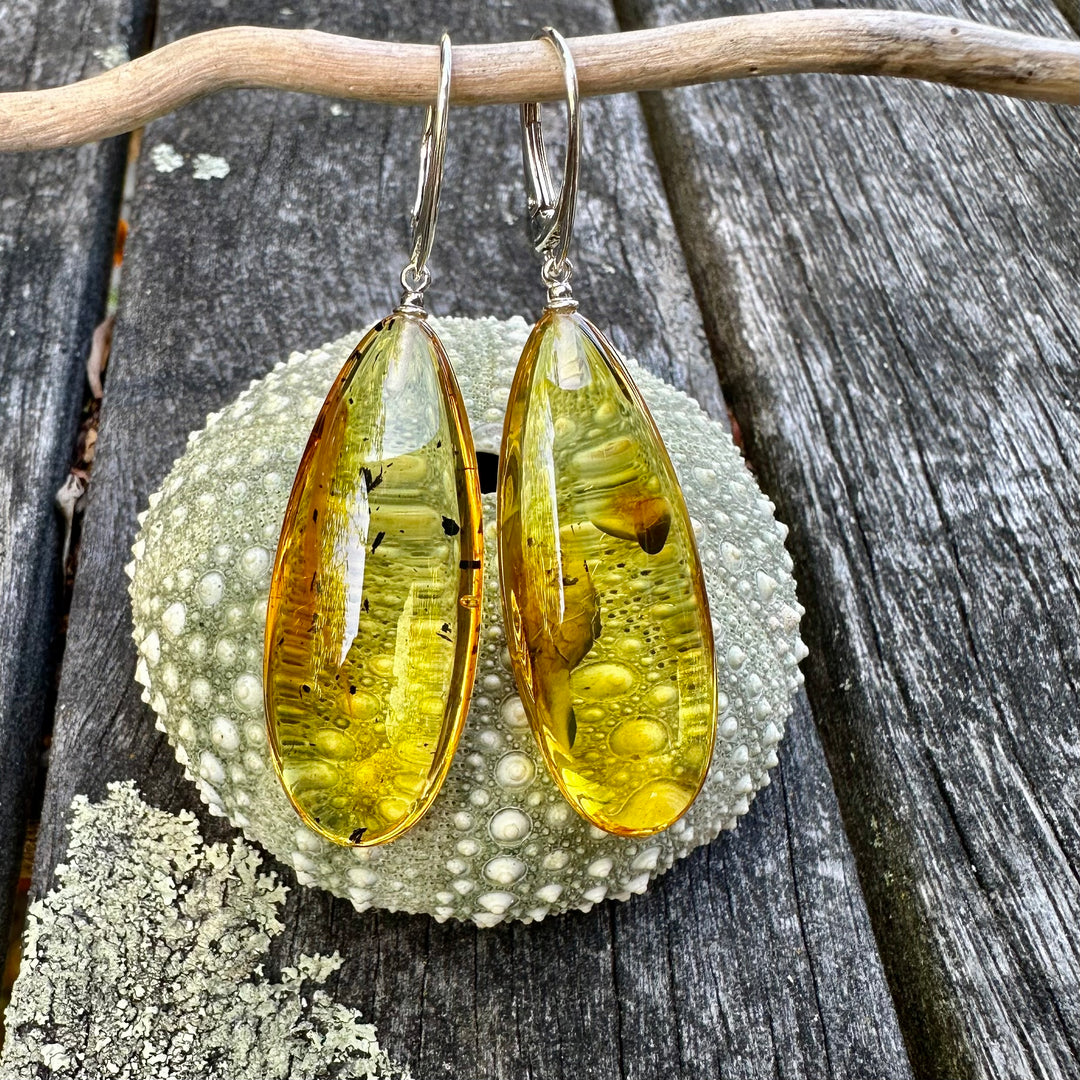 Baltic amber drop earrings
