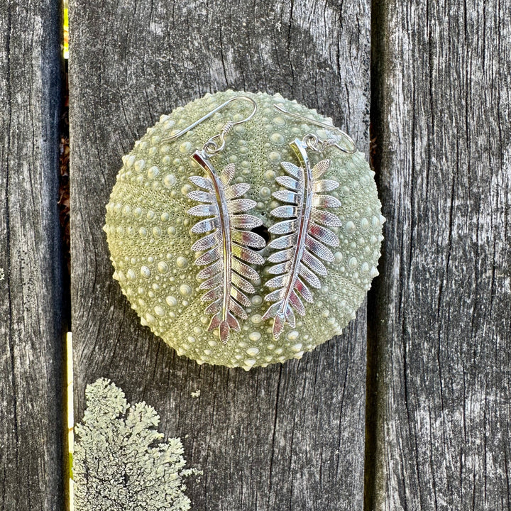 Silver fern earrings