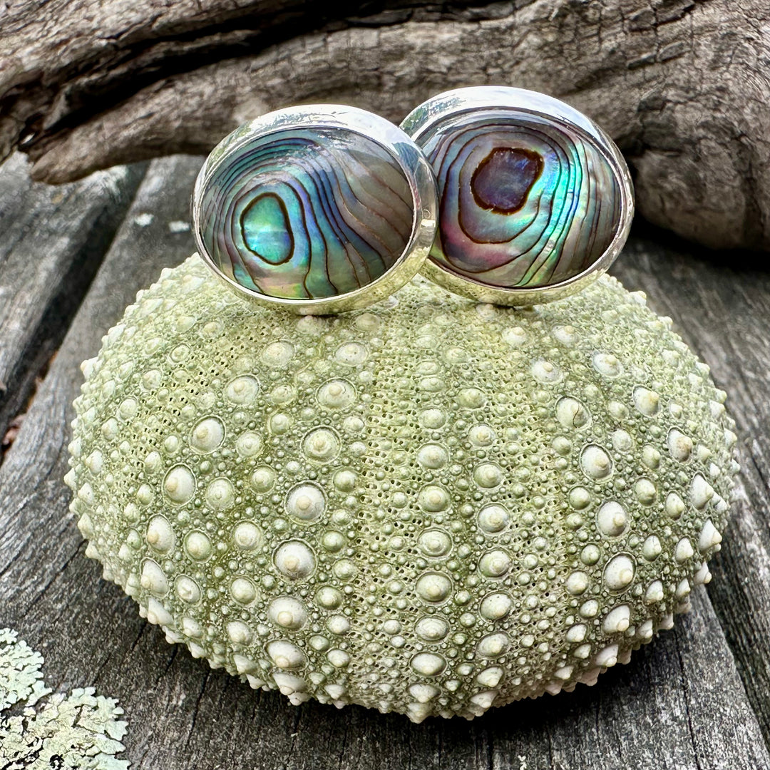 Paua shell cufflinks