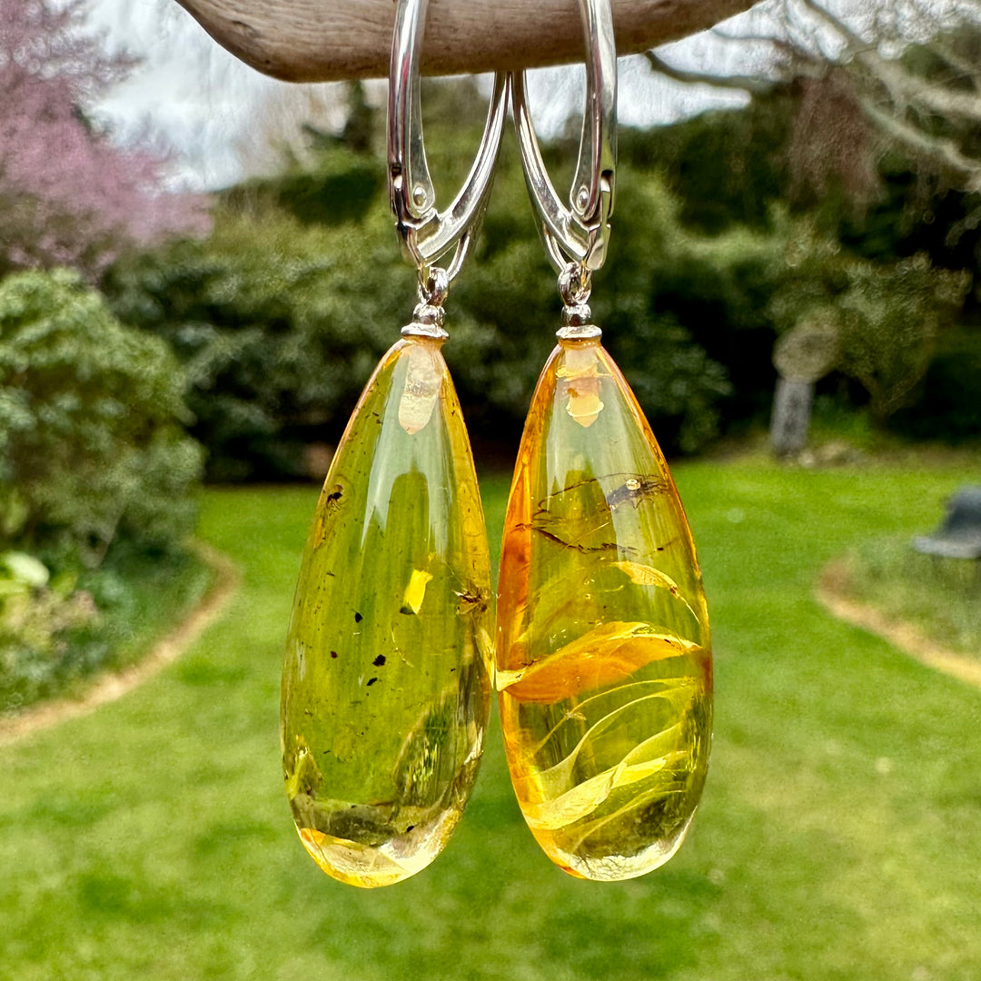 Light cognac Baltic Amber earrings