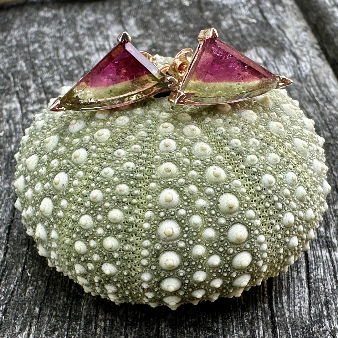 Brazilian watermelon tourmaline studs