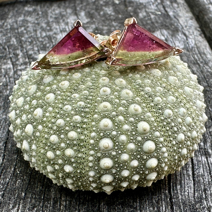 Brazilian watermelon tourmaline studs