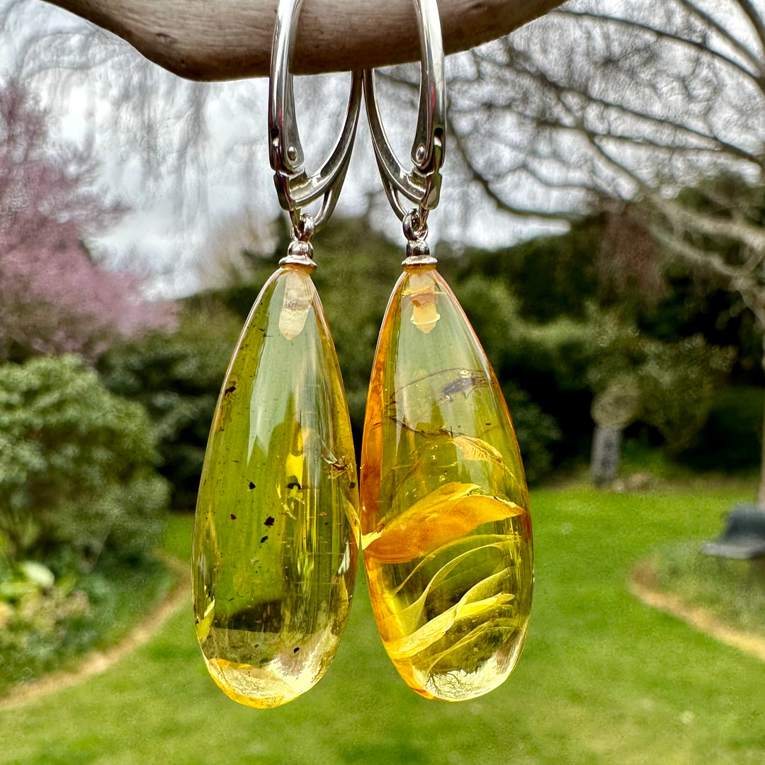 Light cognac Baltic Amber earrings