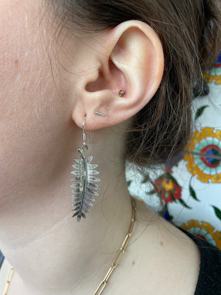 Silver fern earrings