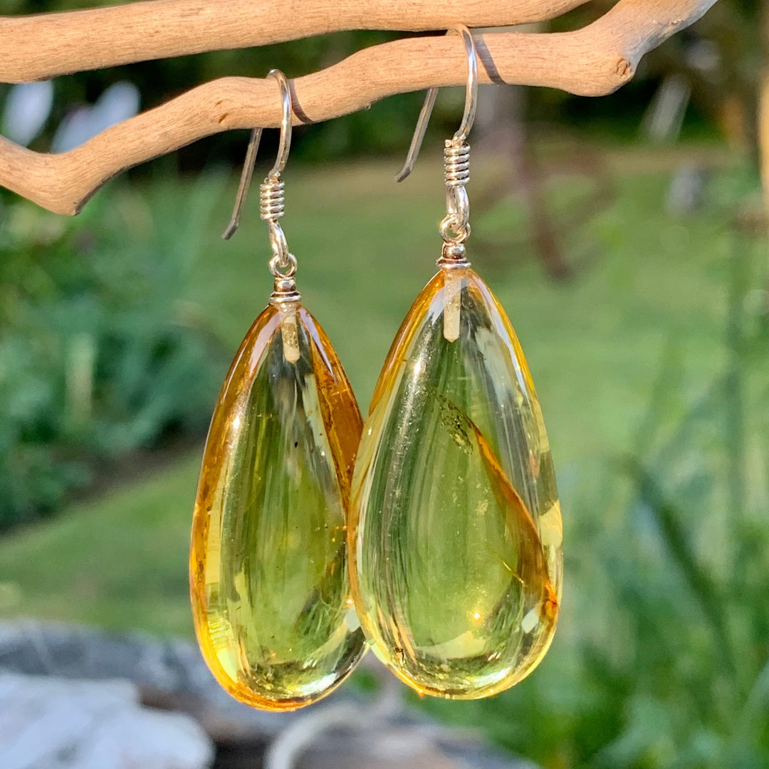Lithuanian Baltic Amber Drops