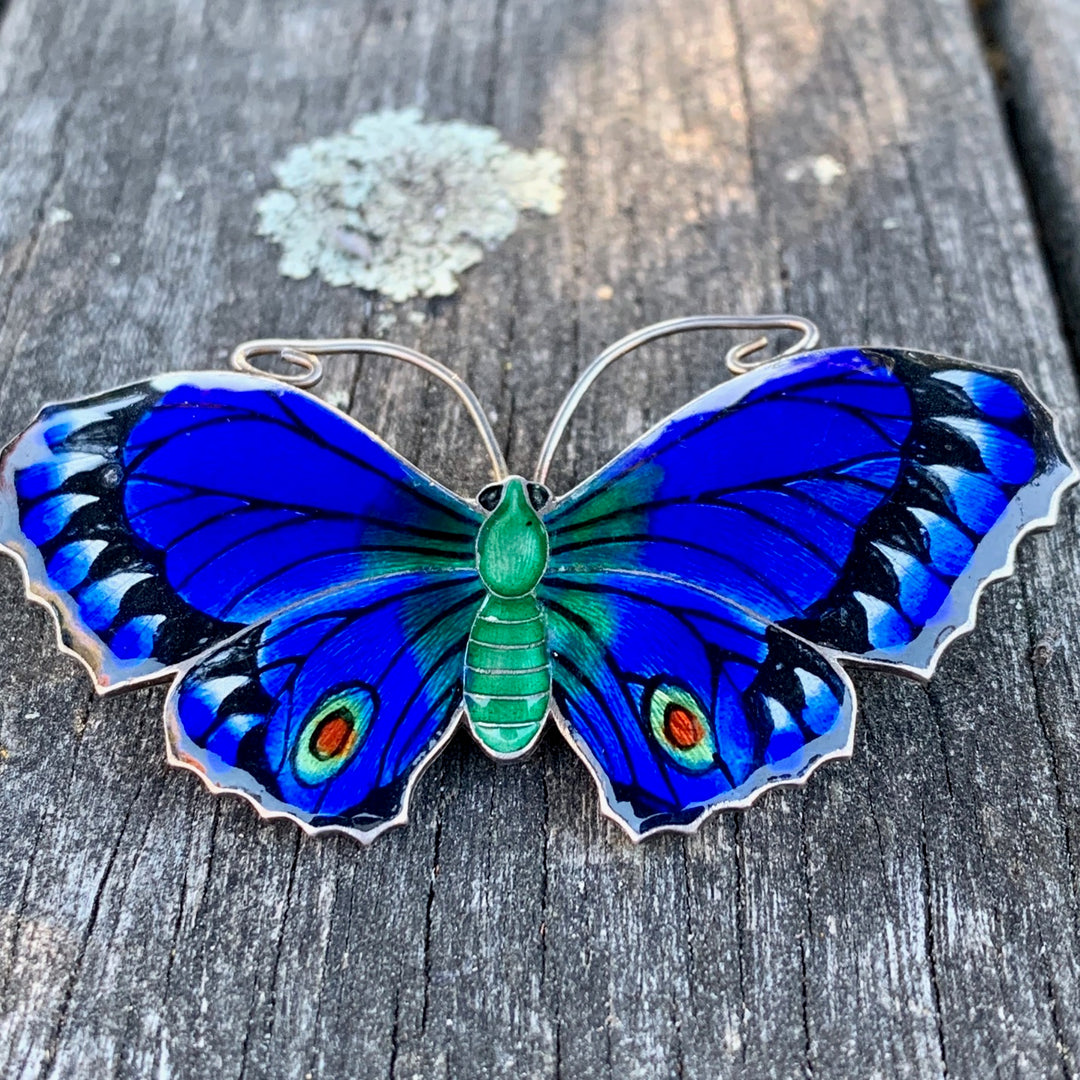 Antique Enamel and Sterling Silver Butterfly Brooch, J A Atkins