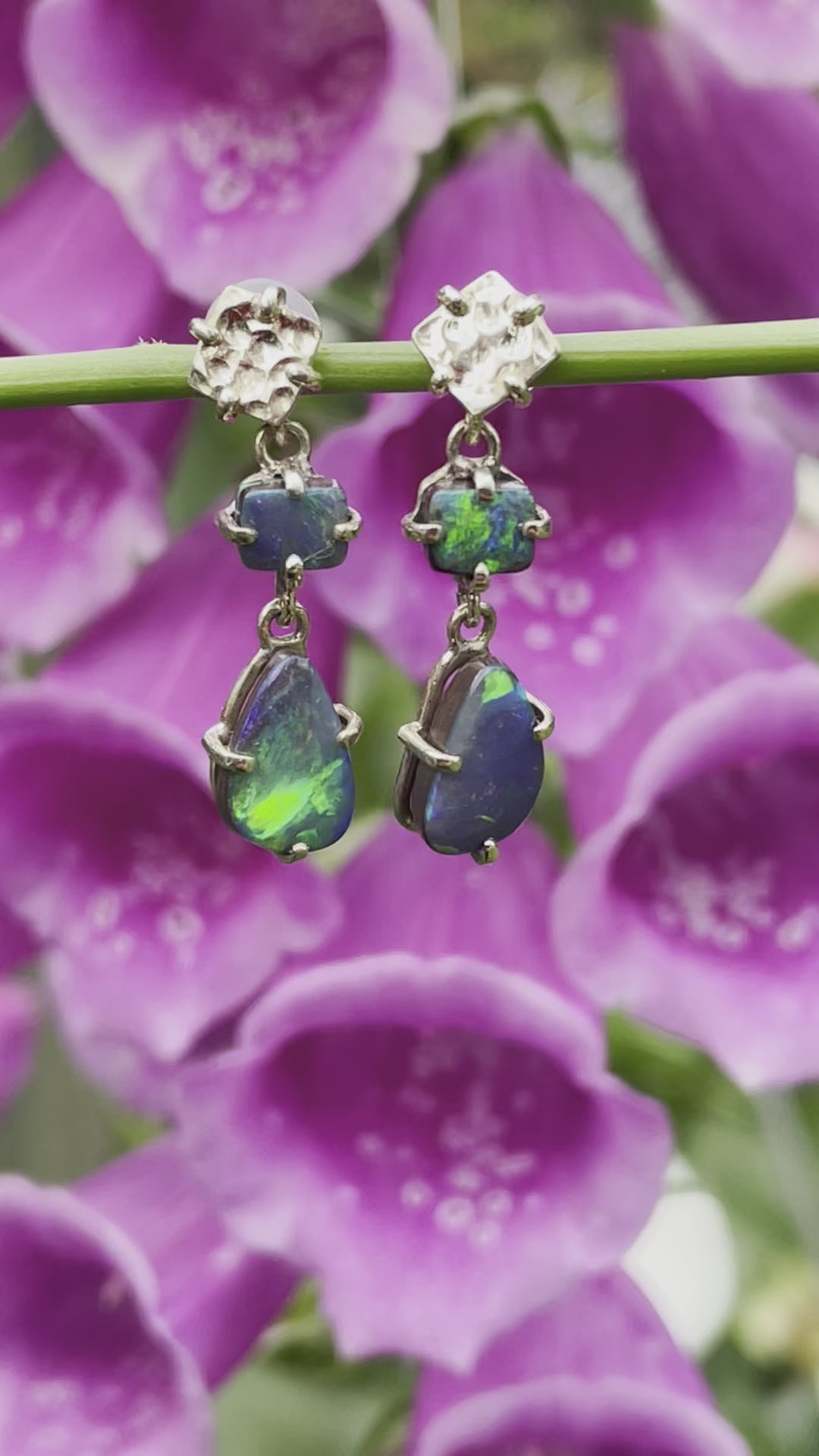 14ct Boulder Opal Wild at Heart Earrings