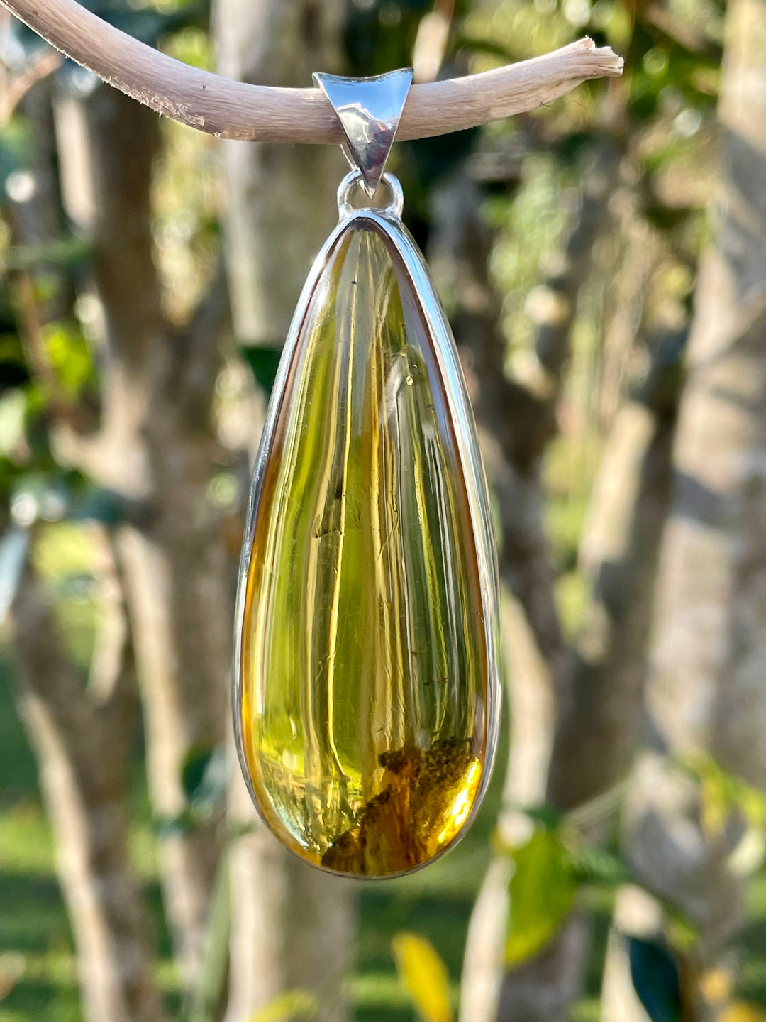Baltic Amber pendant