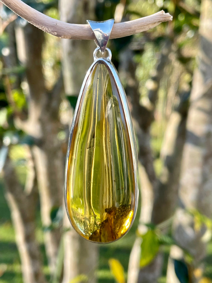 Baltic Amber pendant