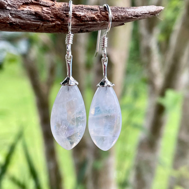Rainbow Moonstone Drop Earrings