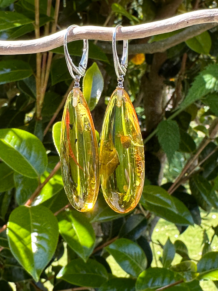 Baltic amber drop earrings