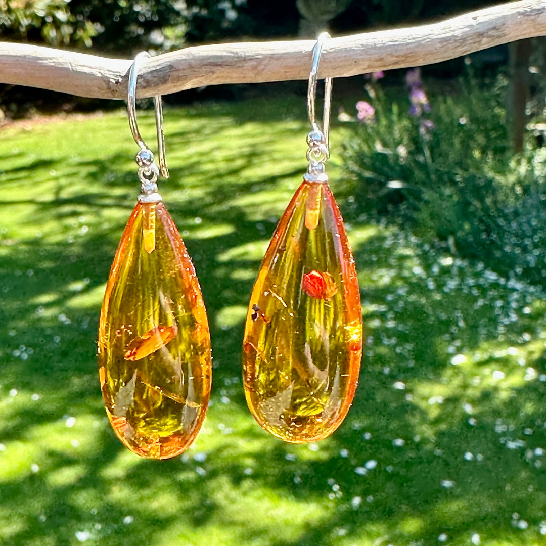 Baltic amber drop earrings