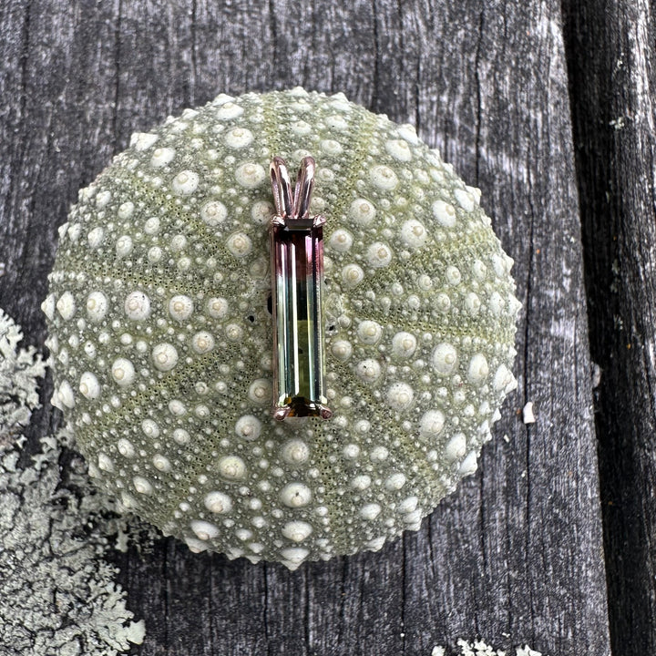 1.5 carat Watermelon tourmaline pendant