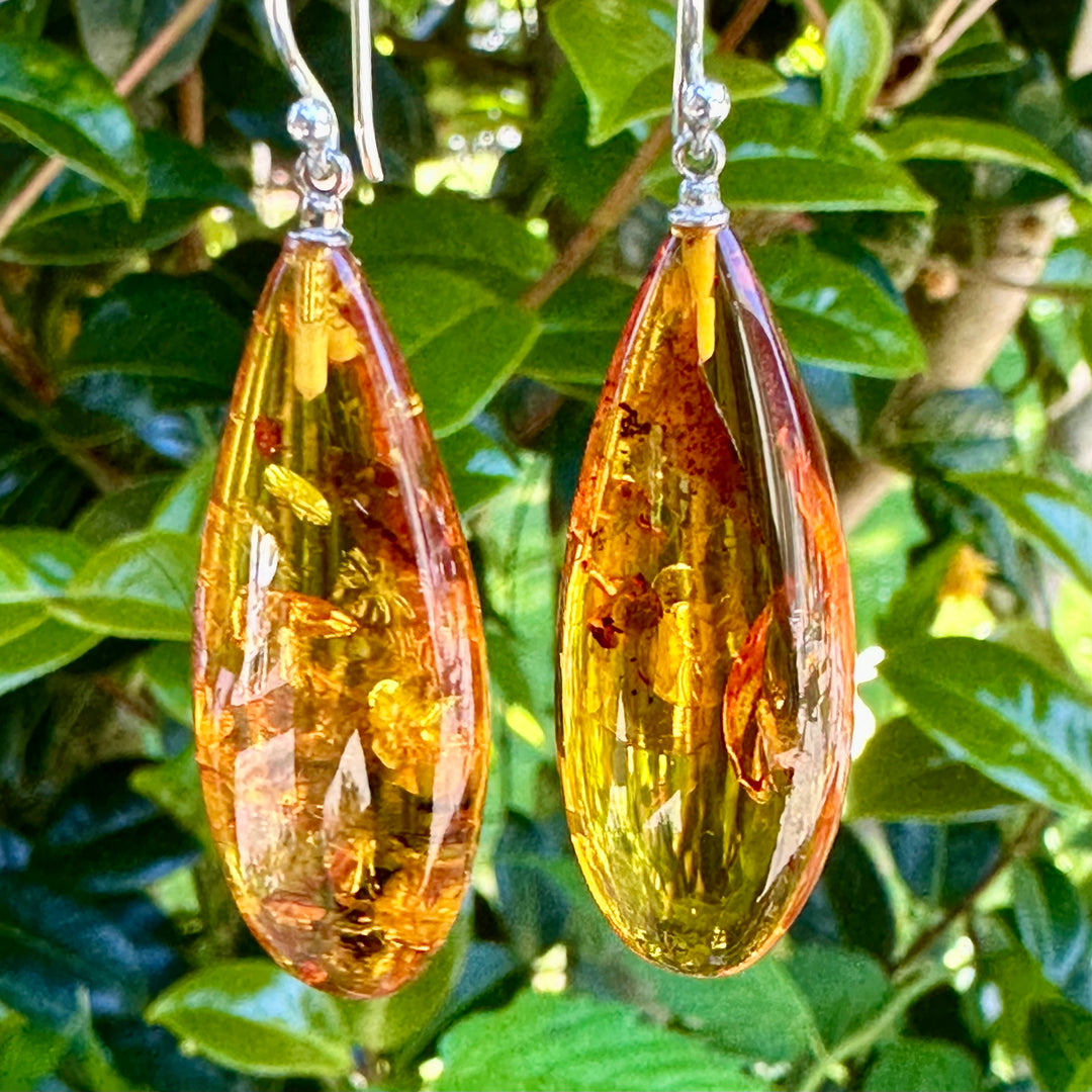 Baltic amber drop earrings