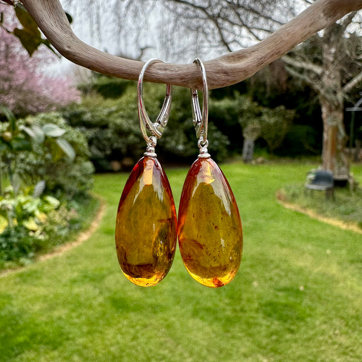 Cognac Baltic Amber drop earrings