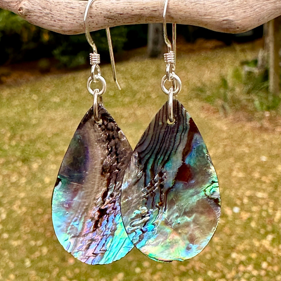 NZ paua shell earrings