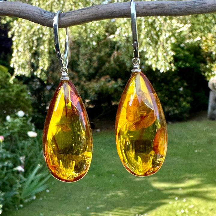 Long Baltic amber drop earrings