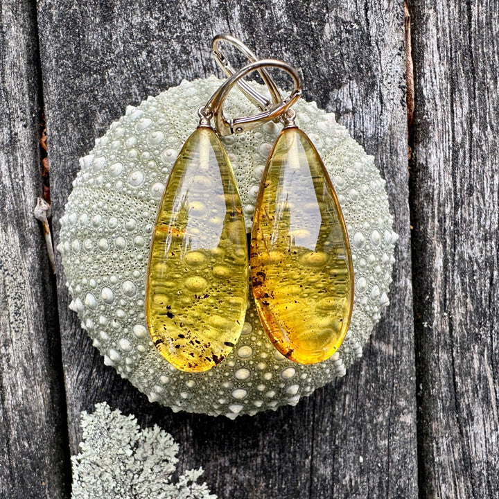 Baltic Amber drop earrings