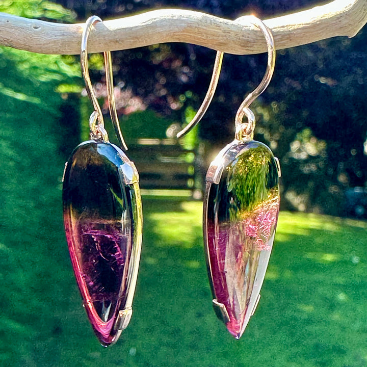 16.5 ct Watermelon Tourmaline earrings