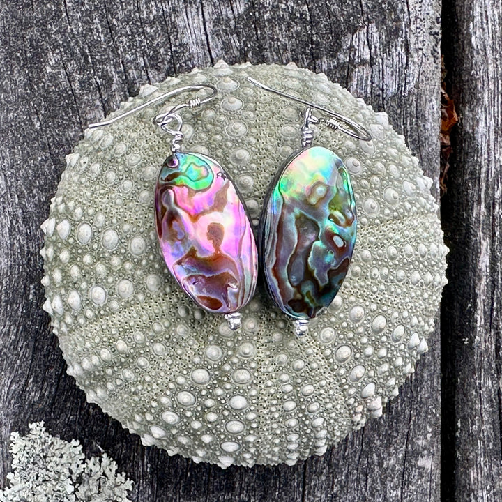 Paua corner earrings