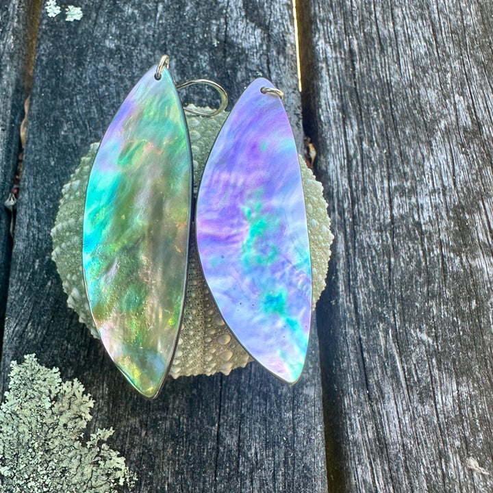 Paua shell earrings