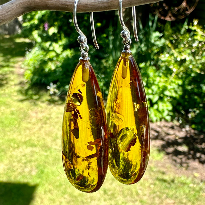 Baltic amber drop earrings