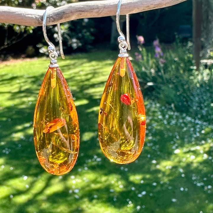 Baltic amber drop earrings