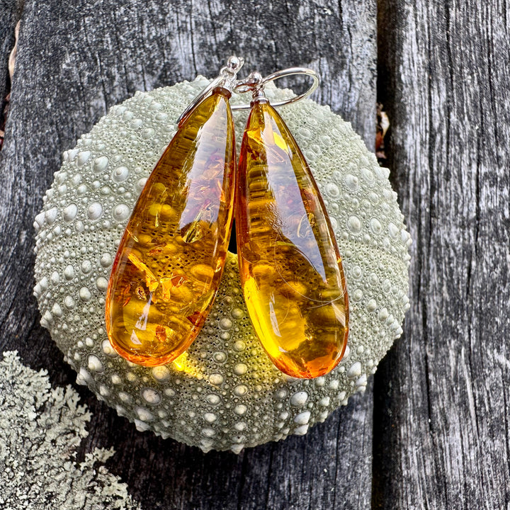 Baltic amber drop earrings