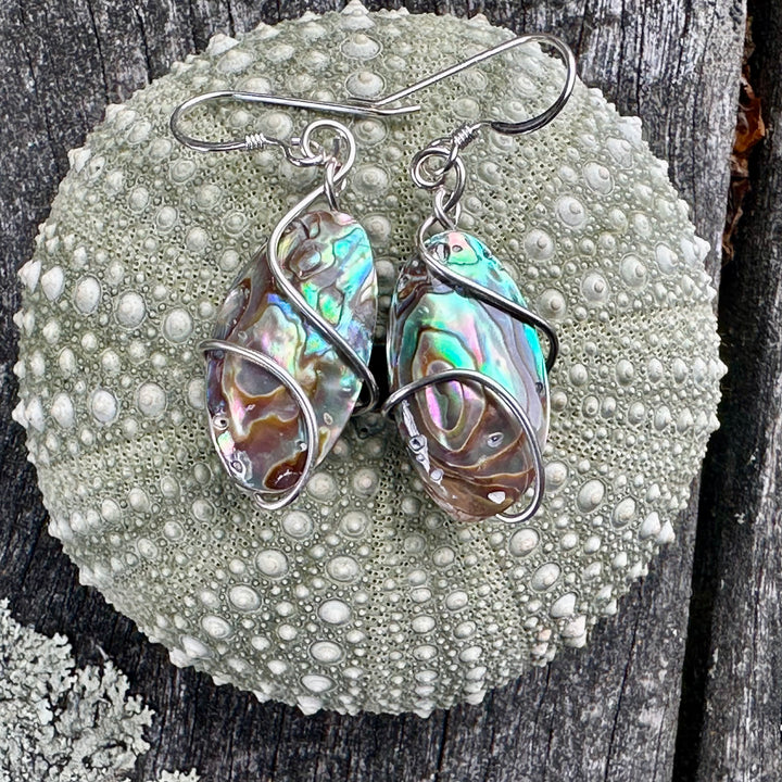 New Zealand paua corner earrings