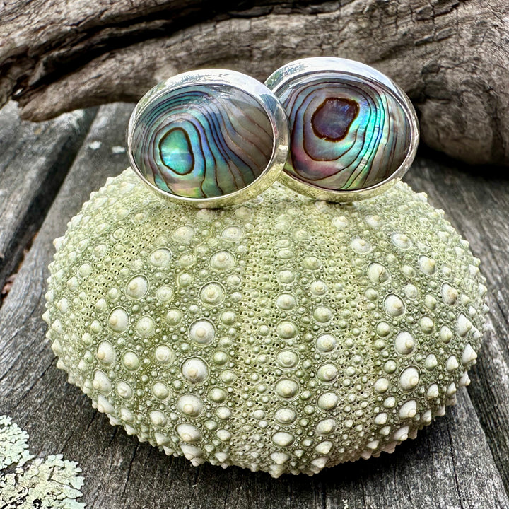Paua shell cufflinks