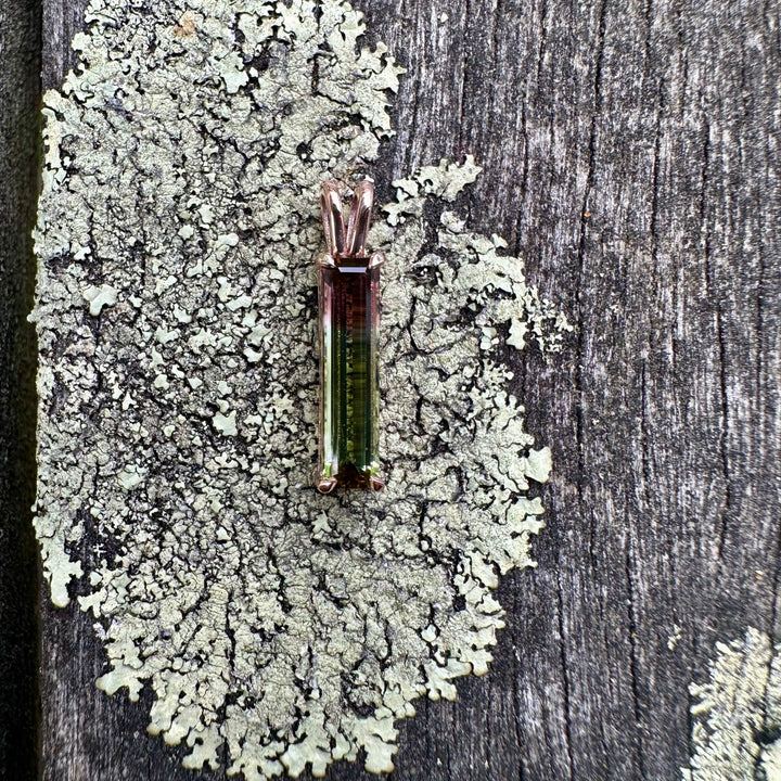 1.5 carat Watermelon tourmaline pendant