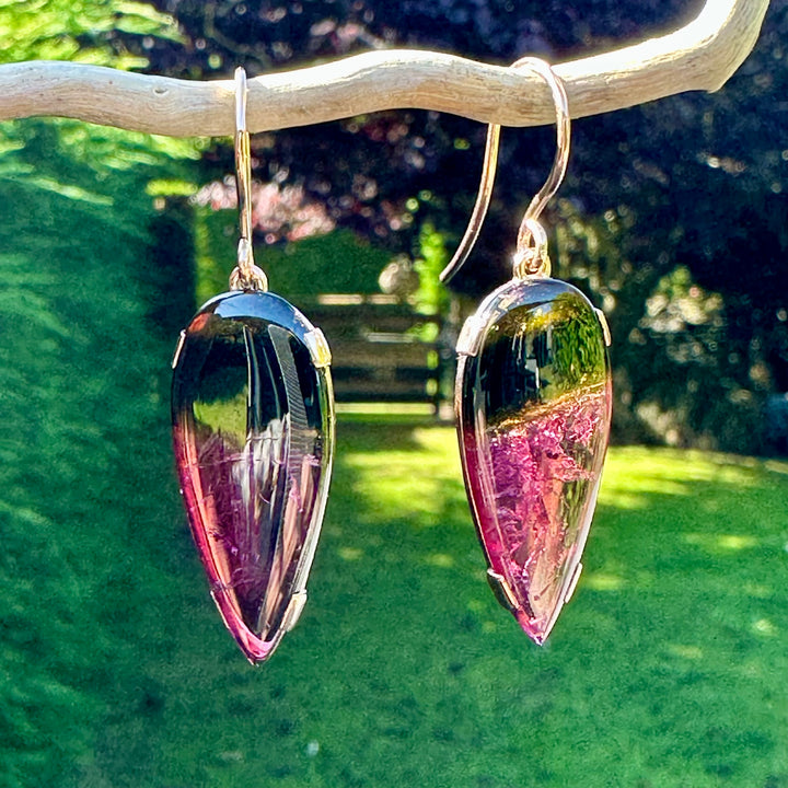 16.5 ct Watermelon Tourmaline earrings