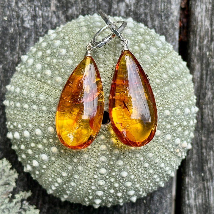 Baltic amber drop earrings