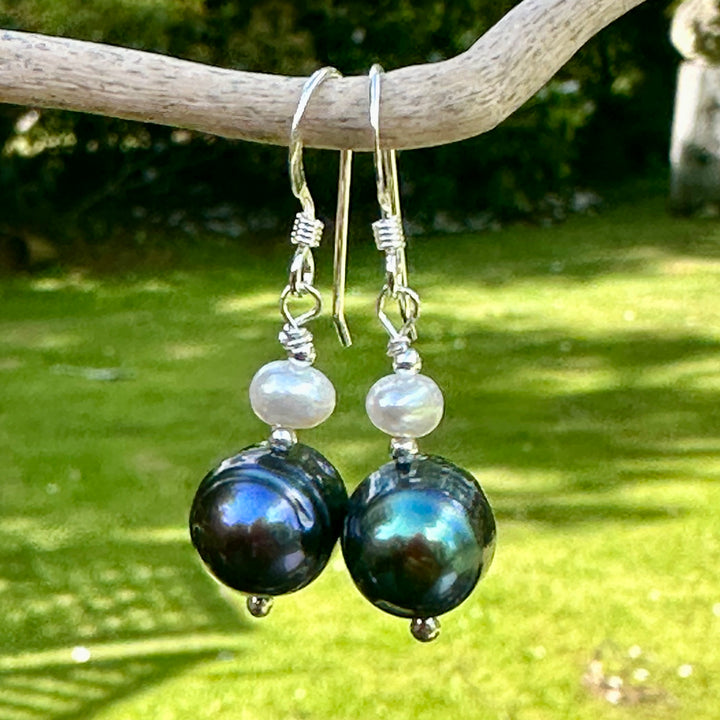 Peacock and white freshwater pearl earrings
