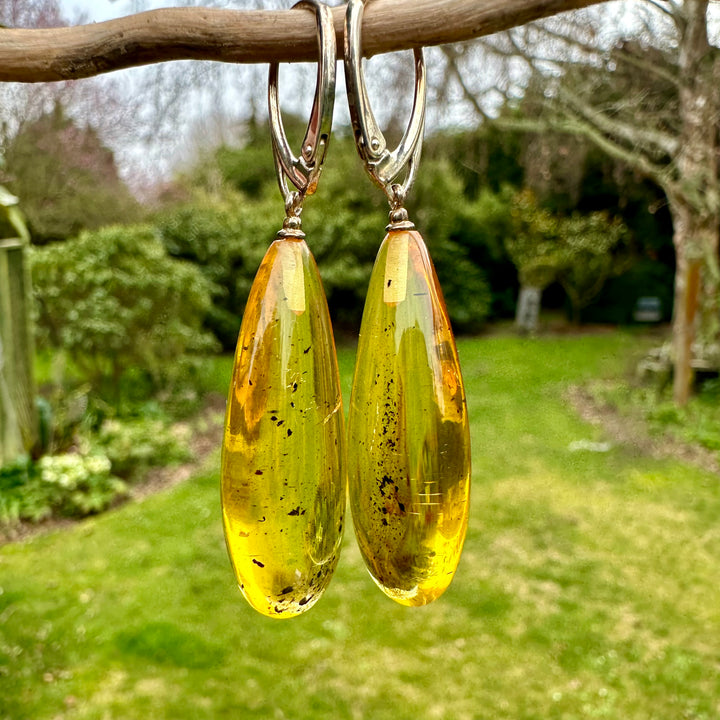 Baltic Amber drop earrings