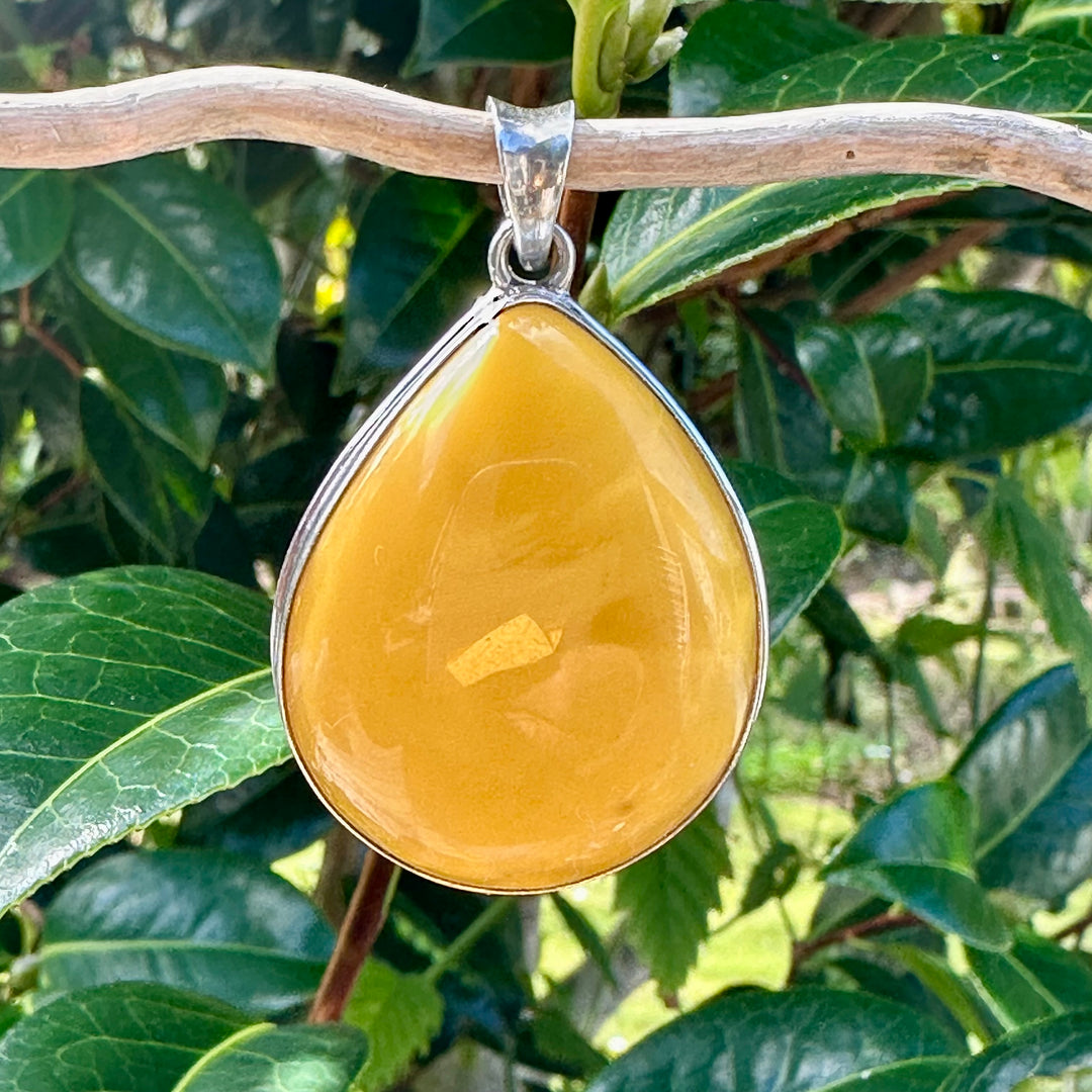 Butterscotch amber pendant