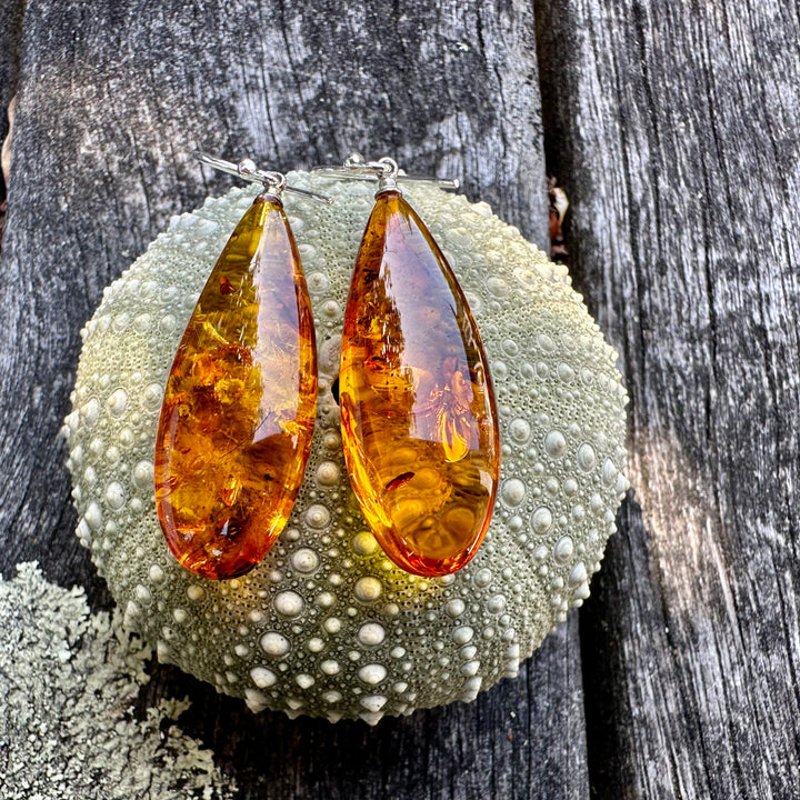 Baltic amber drop earrings