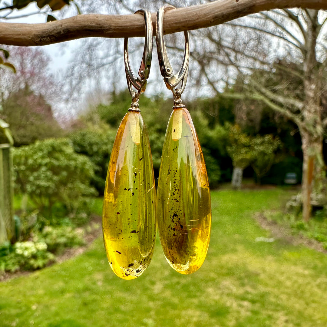 Baltic Amber drop earrings