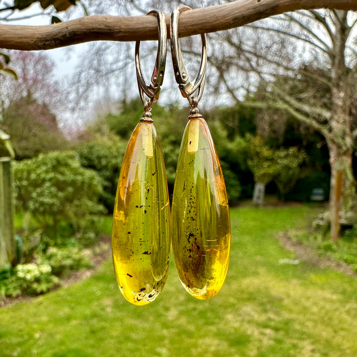 Baltic Amber drop earrings