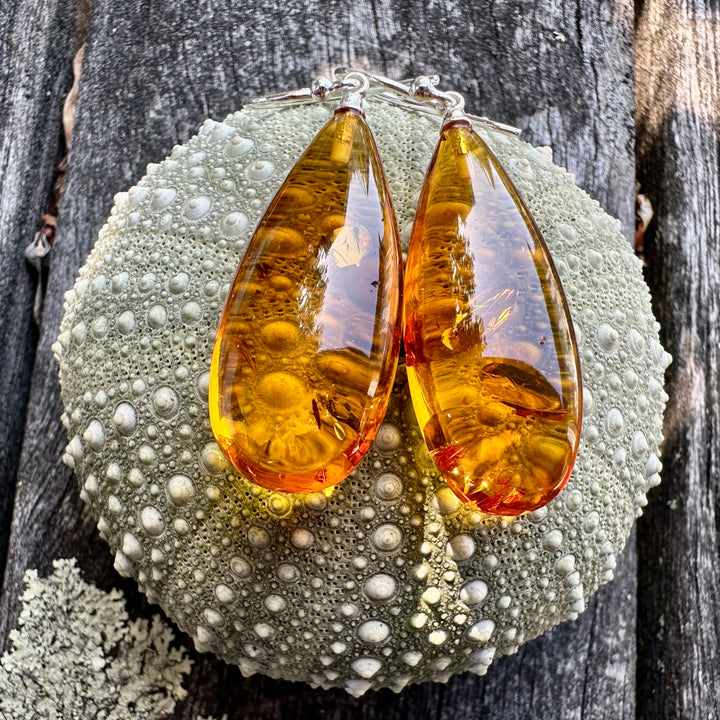 Baltic amber drop earrings