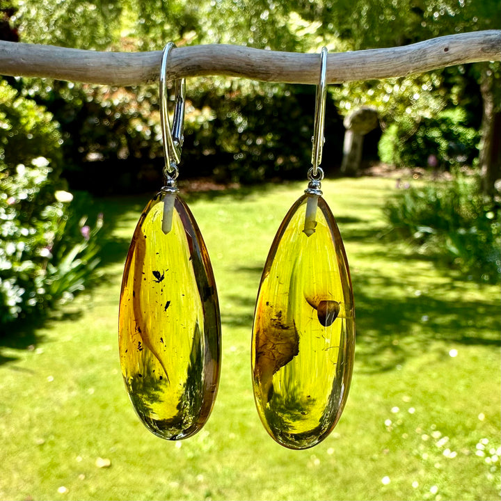 Baltic amber drop earrings