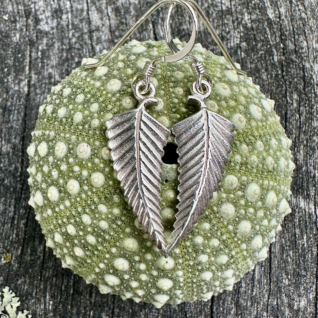 Small silver fern earrings