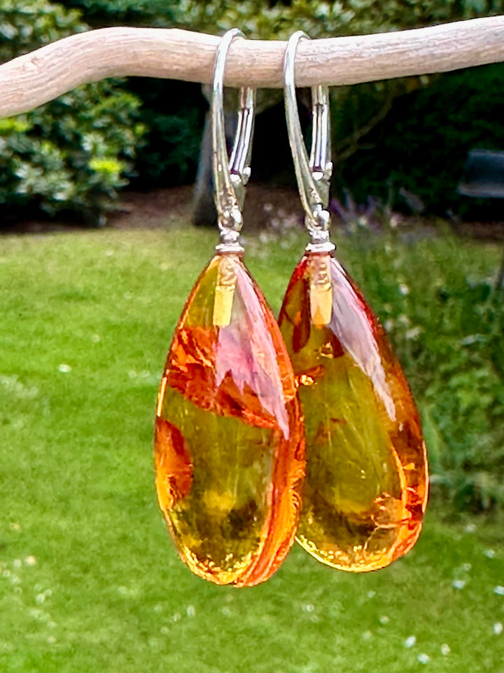 Baltic amber drop earrings