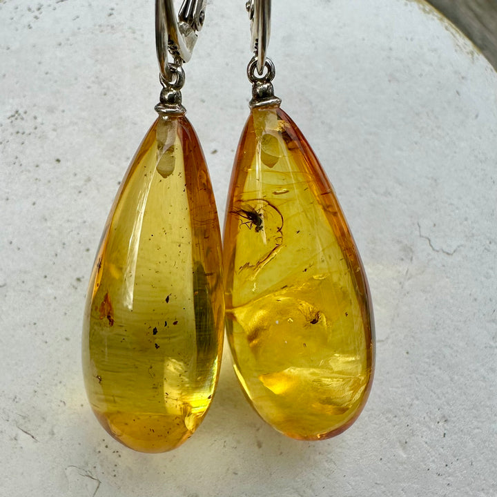 Lemon colour baltic amber drop earrings