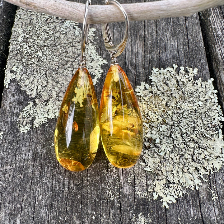 Lemon colour baltic amber drop earrings