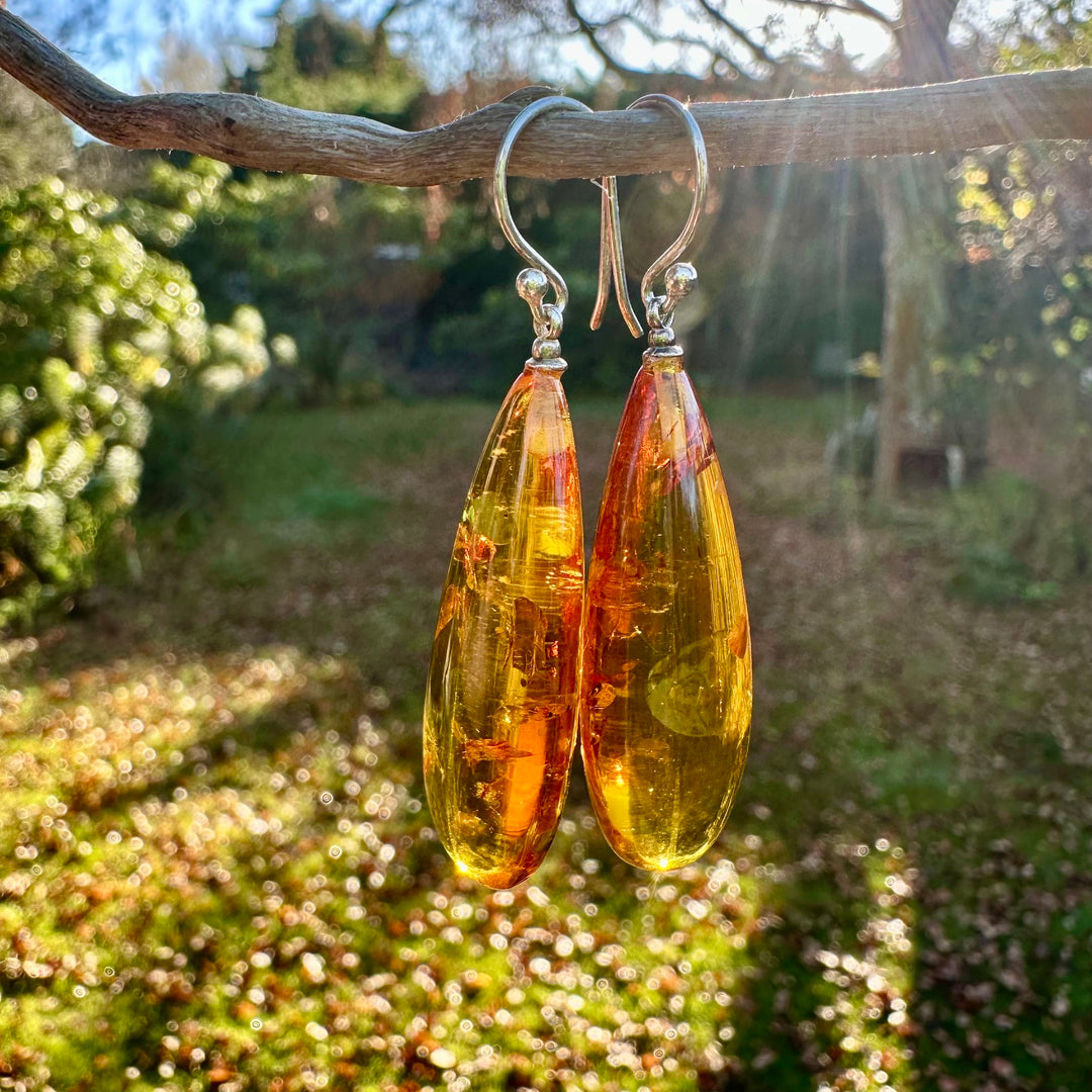 Baltic amber drop earrings