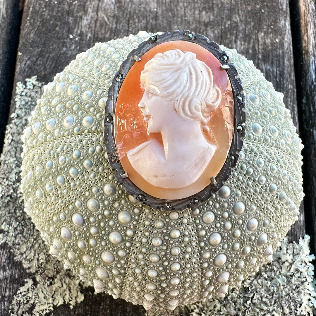 vintage sterling silver shell cameo brooch pendant