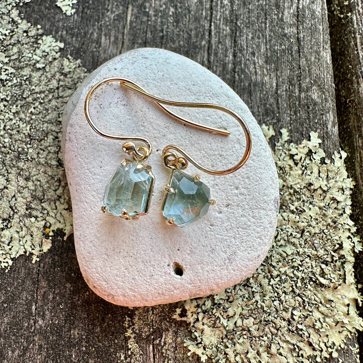 freeform brazilian aquamarine earrings
