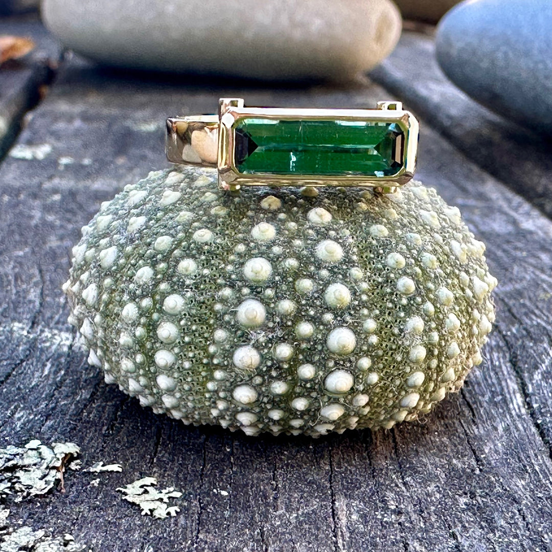 Winds of Change Tourmaline ring
